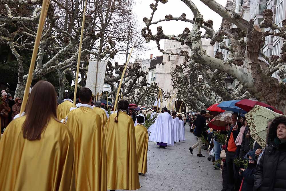 Fotos: Las imágenes de la Procesión de Jesús en La Borriquilla