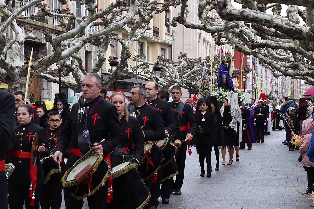 Fotos: Las imágenes de la Procesión de Jesús en La Borriquilla