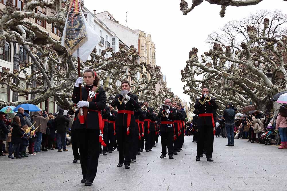 Fotos: Las imágenes de la Procesión de Jesús en La Borriquilla