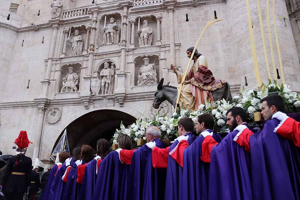 Fotos: Las imágenes de la Procesión de Jesús en La Borriquilla