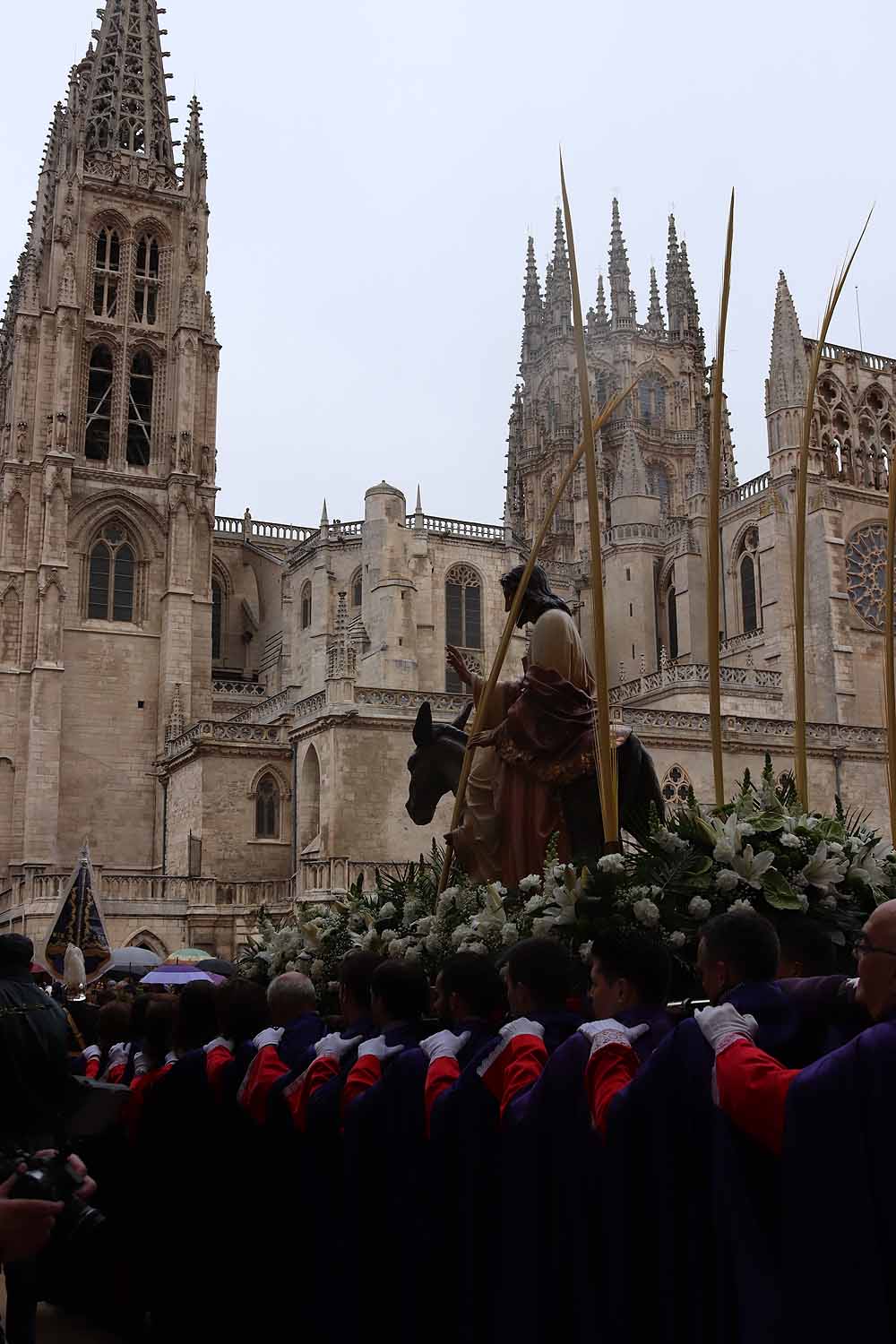 Fotos: Las imágenes de la Procesión de Jesús en La Borriquilla