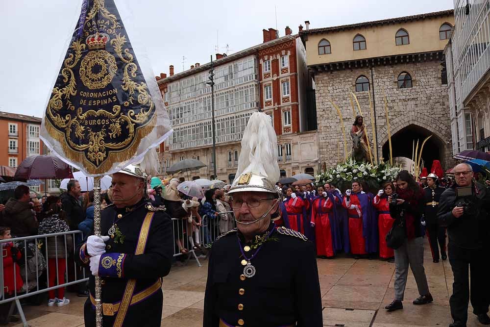 Fotos: Las imágenes de la Procesión de Jesús en La Borriquilla