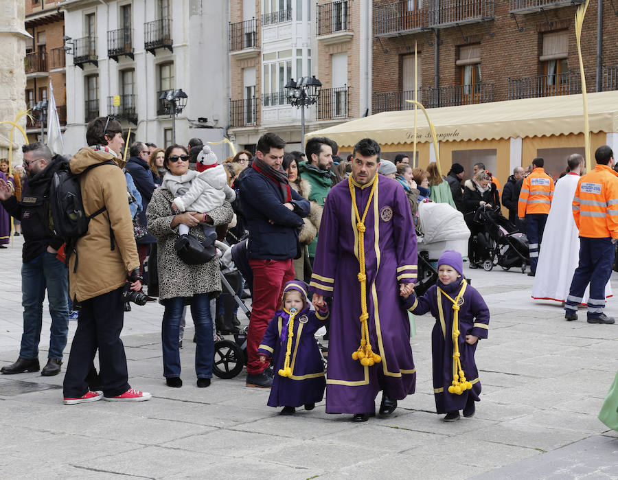 Fotos: Las imágenes de la procesión de Ramos en Palencia