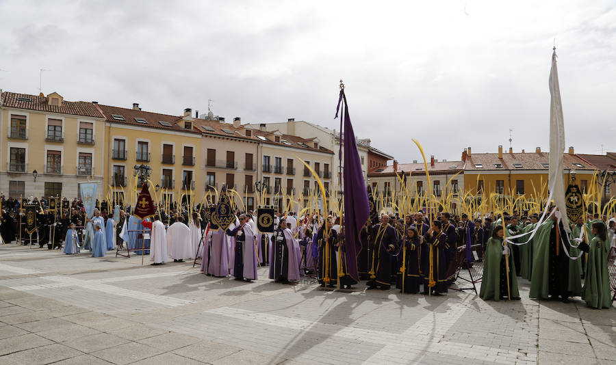 Fotos: Las imágenes de la procesión de Ramos en Palencia