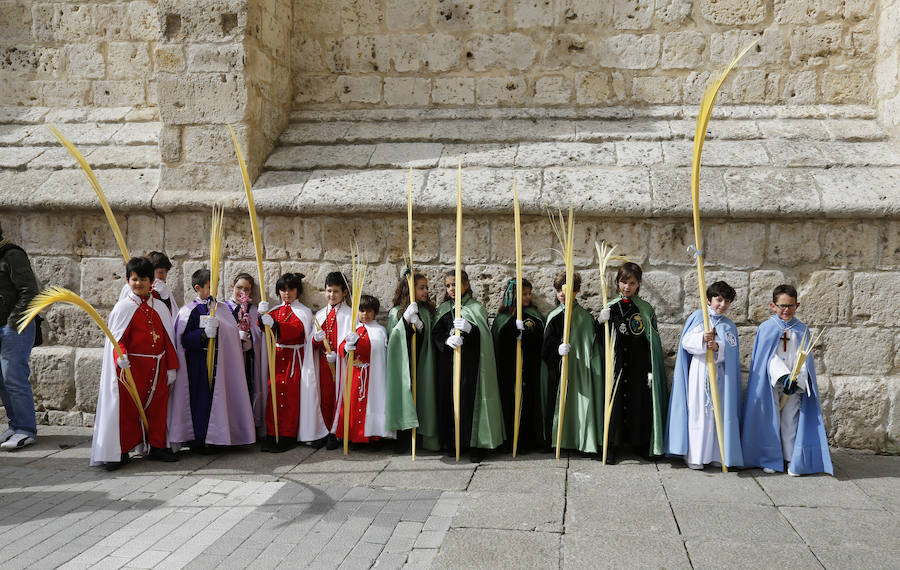 Fotos: Las imágenes de la procesión de Ramos en Palencia