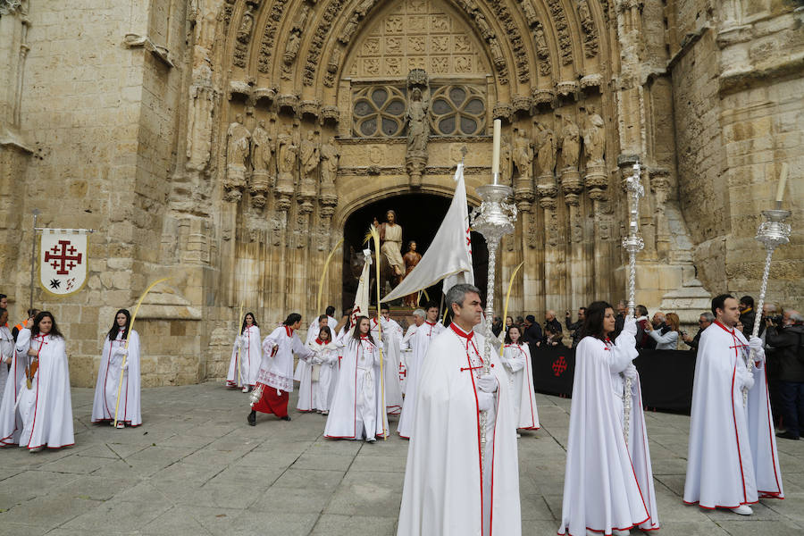 Fotos: Las imágenes de la procesión de Ramos en Palencia