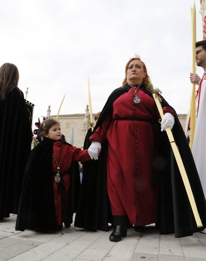 Fotos: Las imágenes de la procesión de Ramos en Palencia