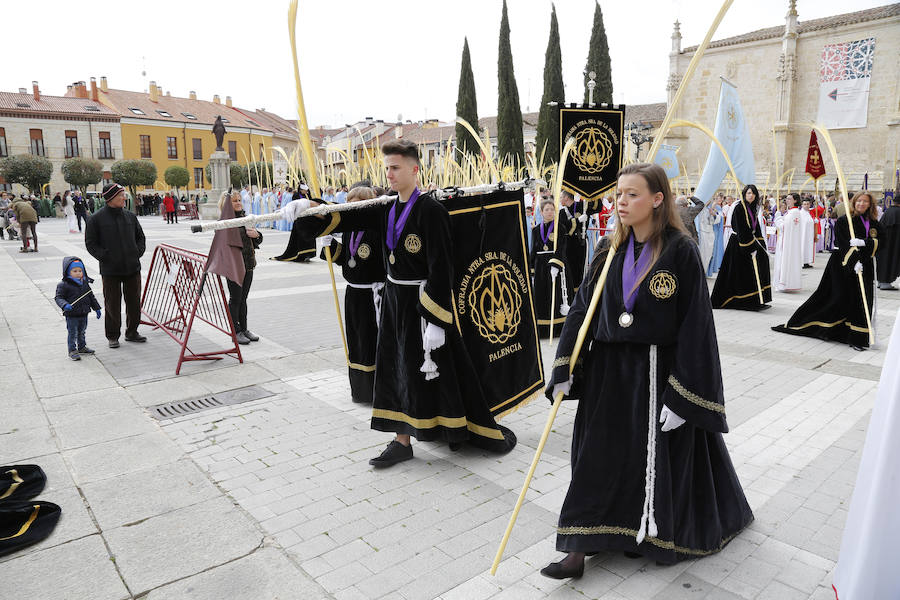 Fotos: Las imágenes de la procesión de Ramos en Palencia