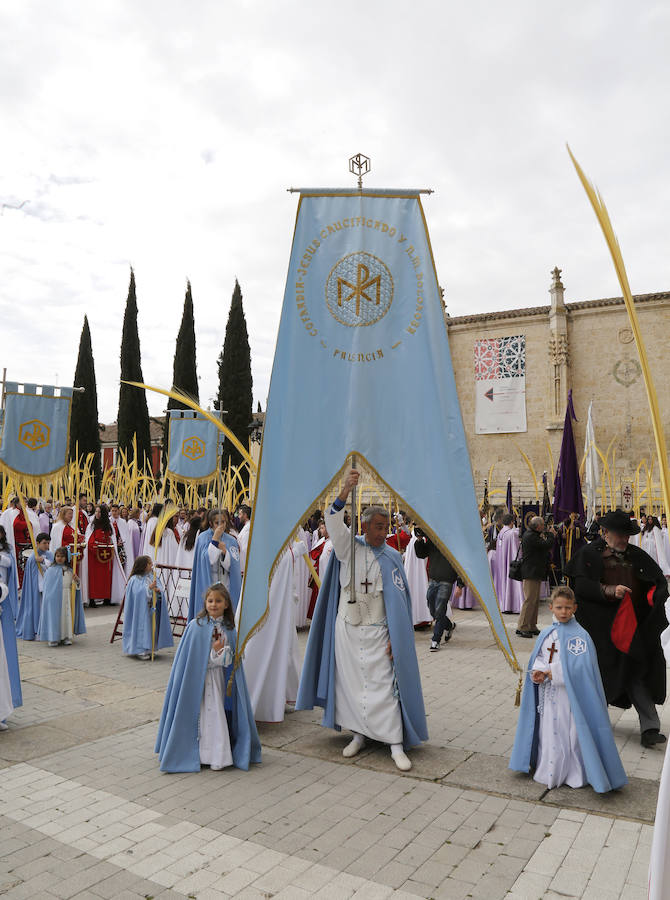 Fotos: Las imágenes de la procesión de Ramos en Palencia