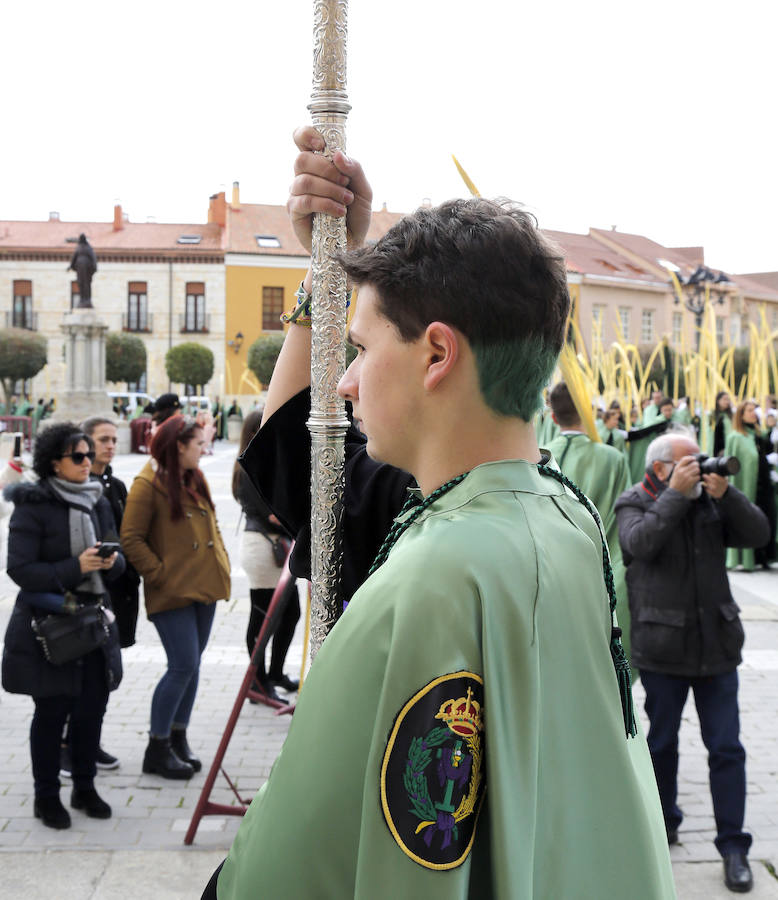 Fotos: Las imágenes de la procesión de Ramos en Palencia