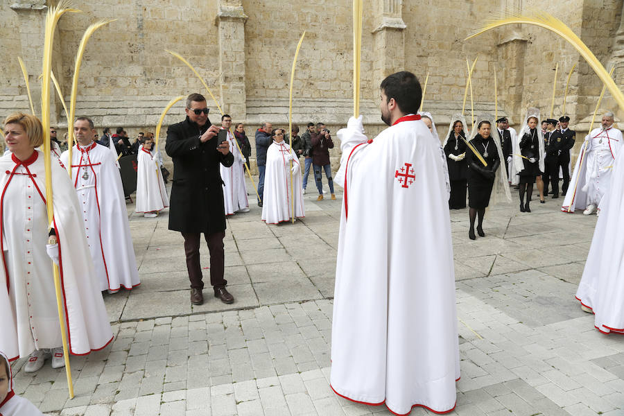 Fotos: Las imágenes de la procesión de Ramos en Palencia