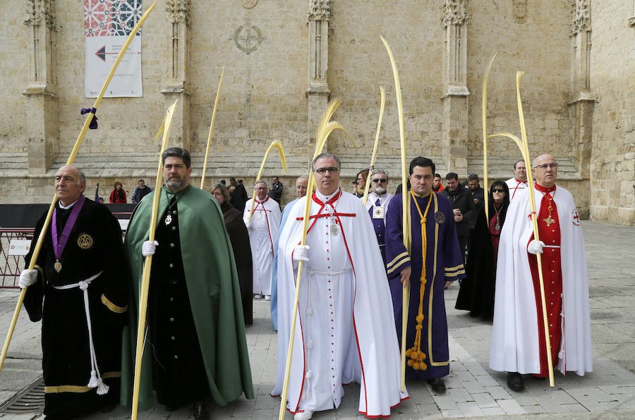 Fotos: Las imágenes de la procesión de Ramos en Palencia