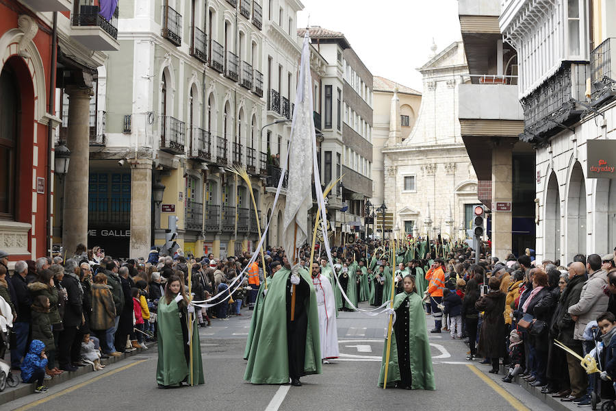 Fotos: Las imágenes de la procesión de Ramos en Palencia