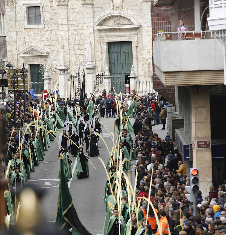 Fotos: Las imágenes de la procesión de Ramos en Palencia