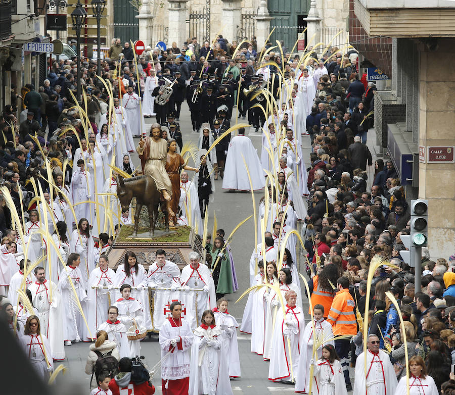 Fotos: Las imágenes de la procesión de Ramos en Palencia