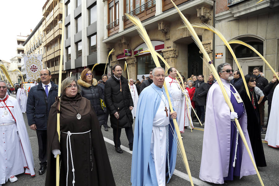 Fotos: Las imágenes de la procesión de Ramos en Palencia