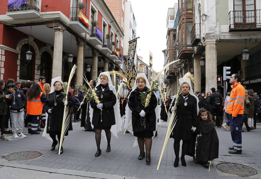 Fotos: Las imágenes de la procesión de Ramos en Palencia