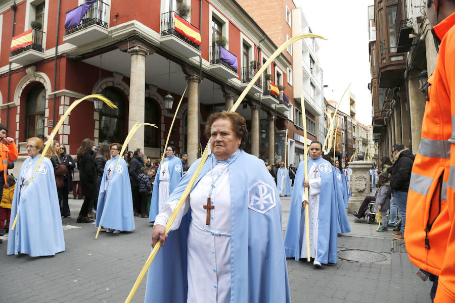 Fotos: Las imágenes de la procesión de Ramos en Palencia