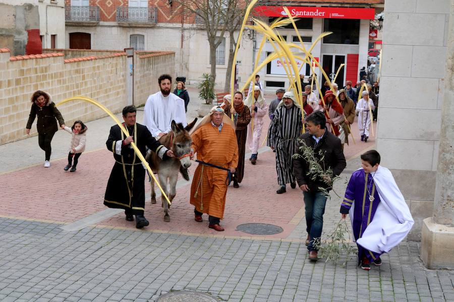 Fotos: Procesión de la Borriquilla en Baltanás