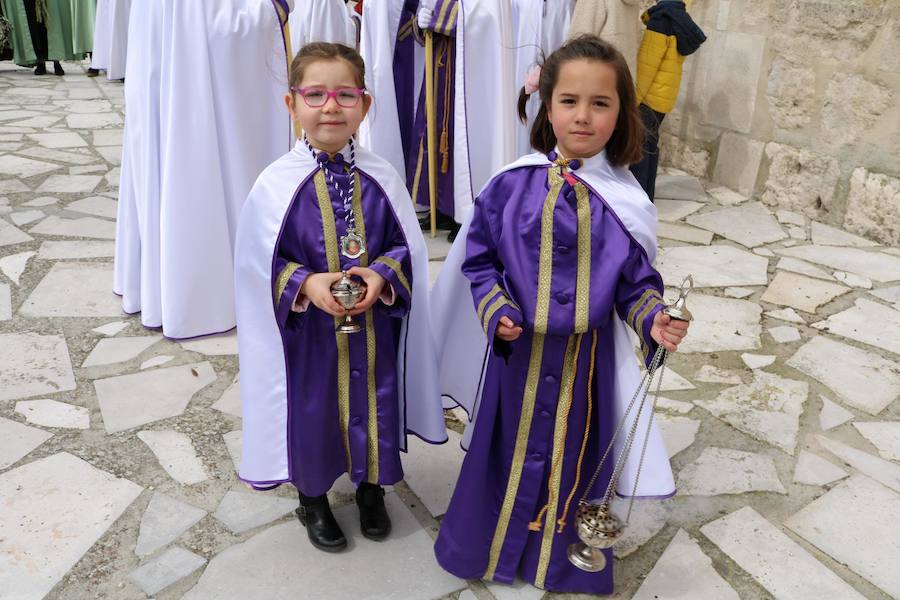 Fotos: Procesión de la Borriquilla en Baltanás