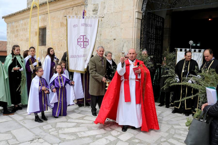 Fotos: Procesión de la Borriquilla en Baltanás