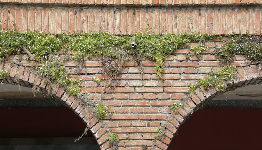 Fotos: Estado de la Plaza del Carmen de Palencia