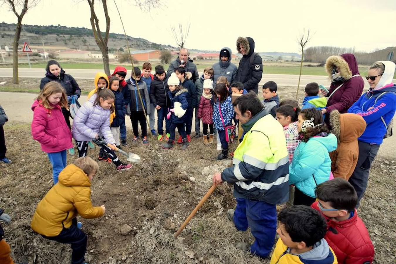 Fotos: Los escolares de Baltanás celebran el Día del Árbol