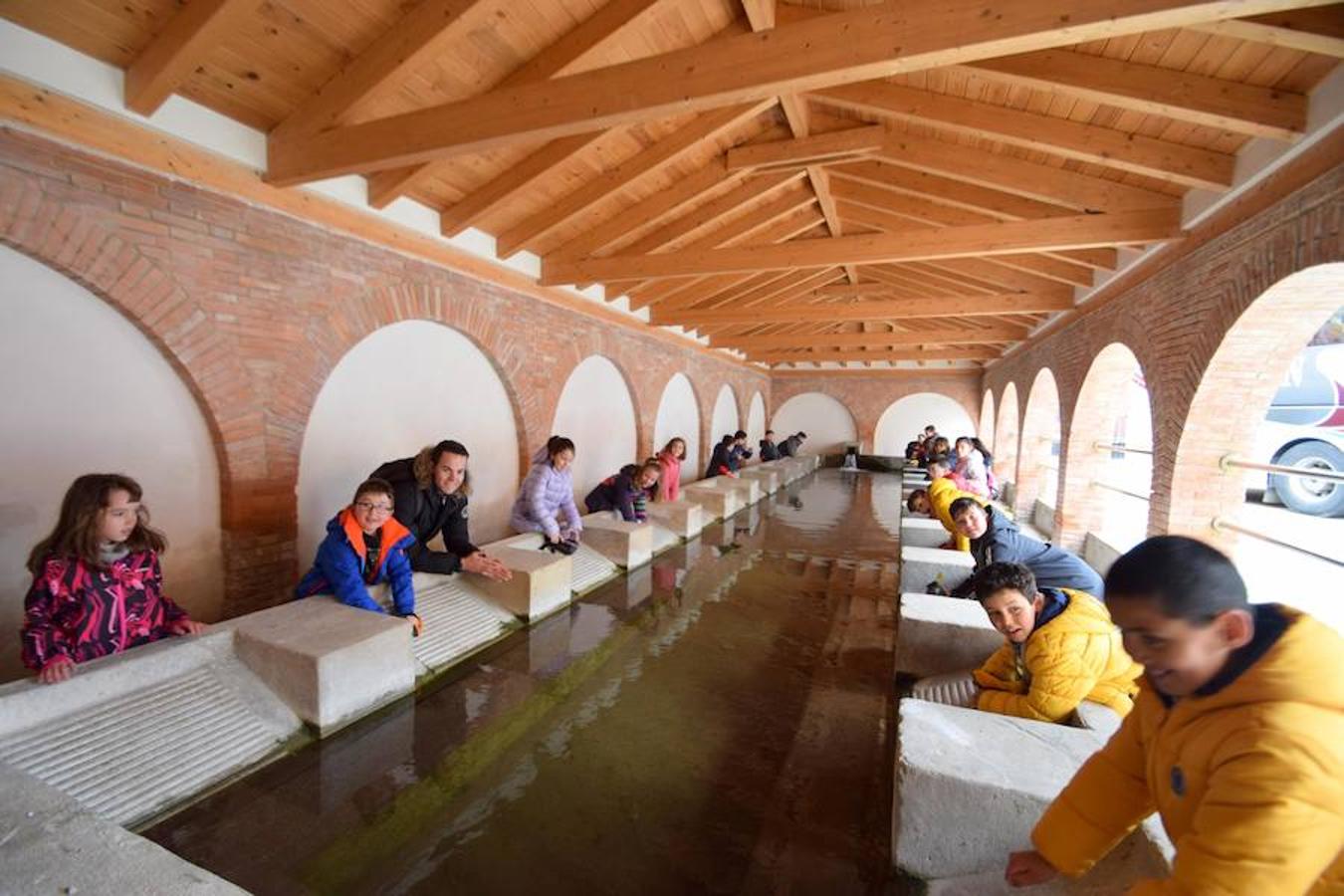 Fotos: Los escolares de Baltanás celebran el Día del Árbol