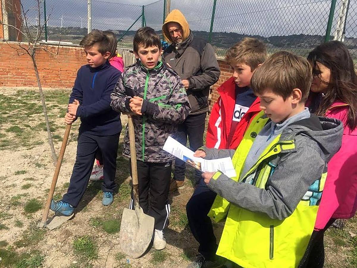 Fotos: Los escolares de Baltanás celebran el Día del Árbol