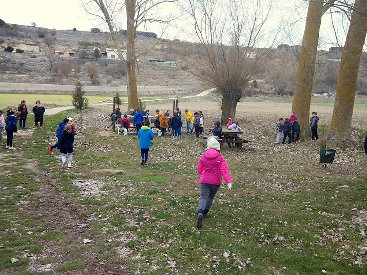 Fotos: Los escolares de Baltanás celebran el Día del Árbol