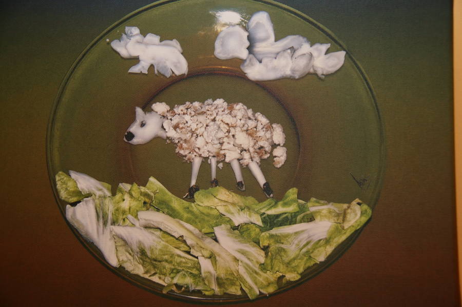 Fotos: Exposición &#039;Primeros platos&#039; en el Ayuntamiento de Viloria del Henar