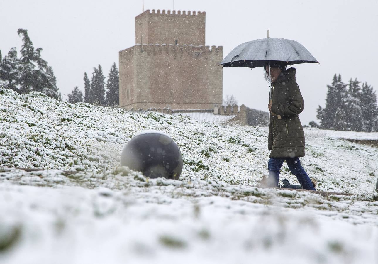 Nieve en Ciudad Rodrigo.