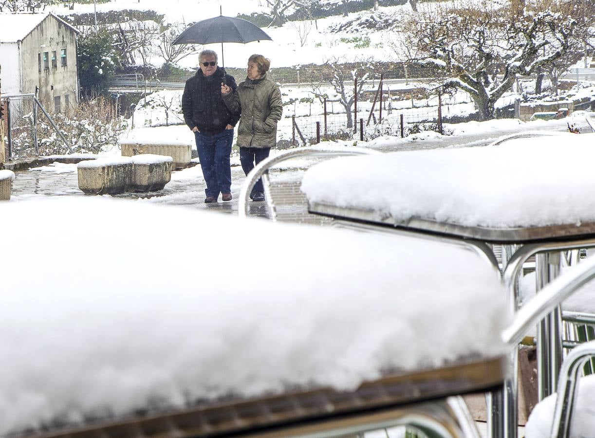 Nieve caída en Monsagro.