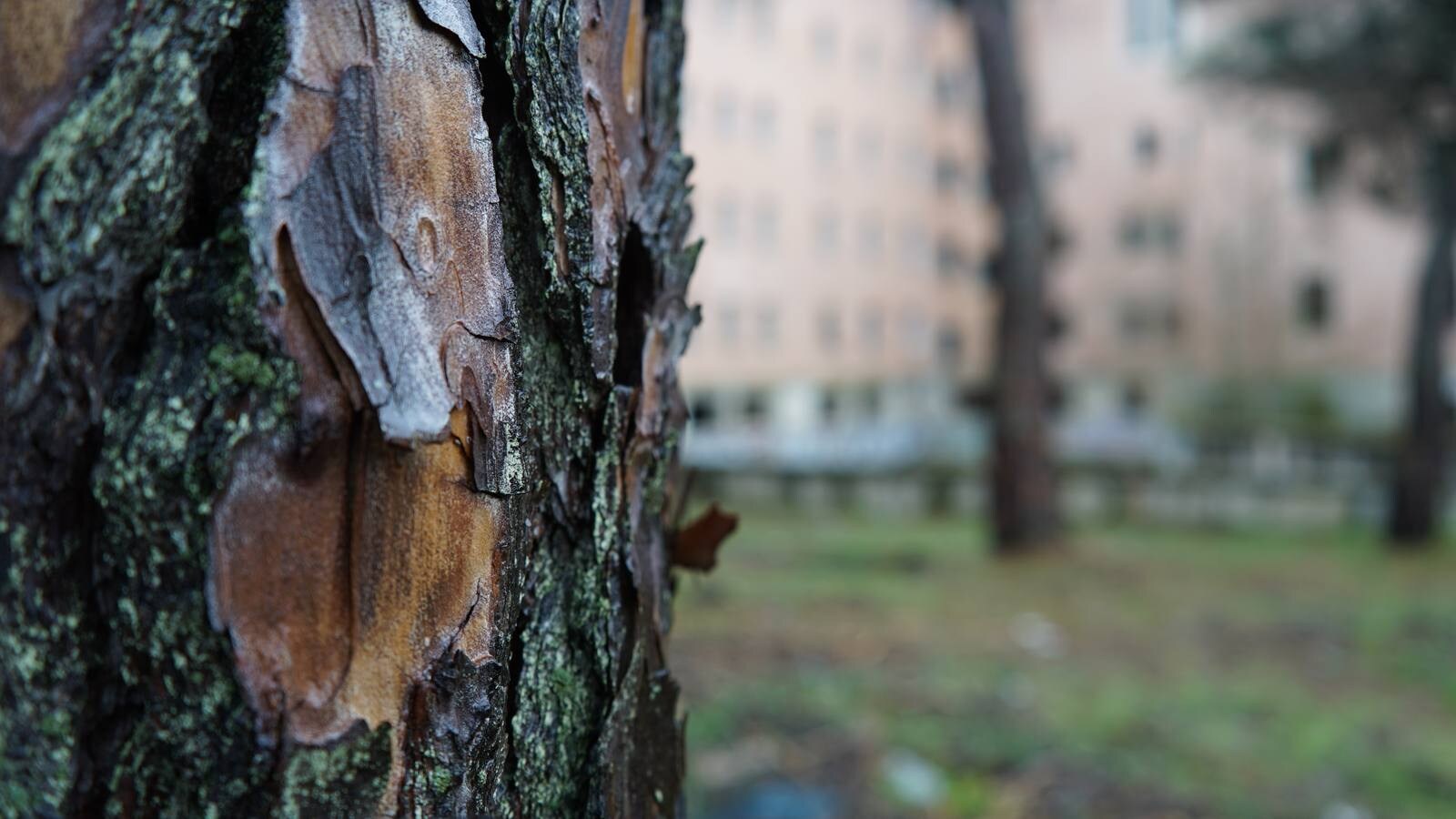 El conocido como 'Sanatorio de tuberculosos de Viana' se clausuró en 1963 y hoy en día, es un edificio completamente abandonado y arrasado por el paso de los vándalos 