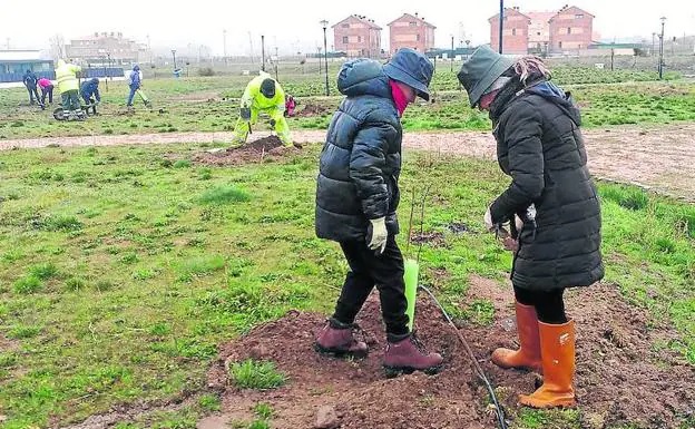 Dos mujeres plantan un árbol en el parque del Carrascalejo. 