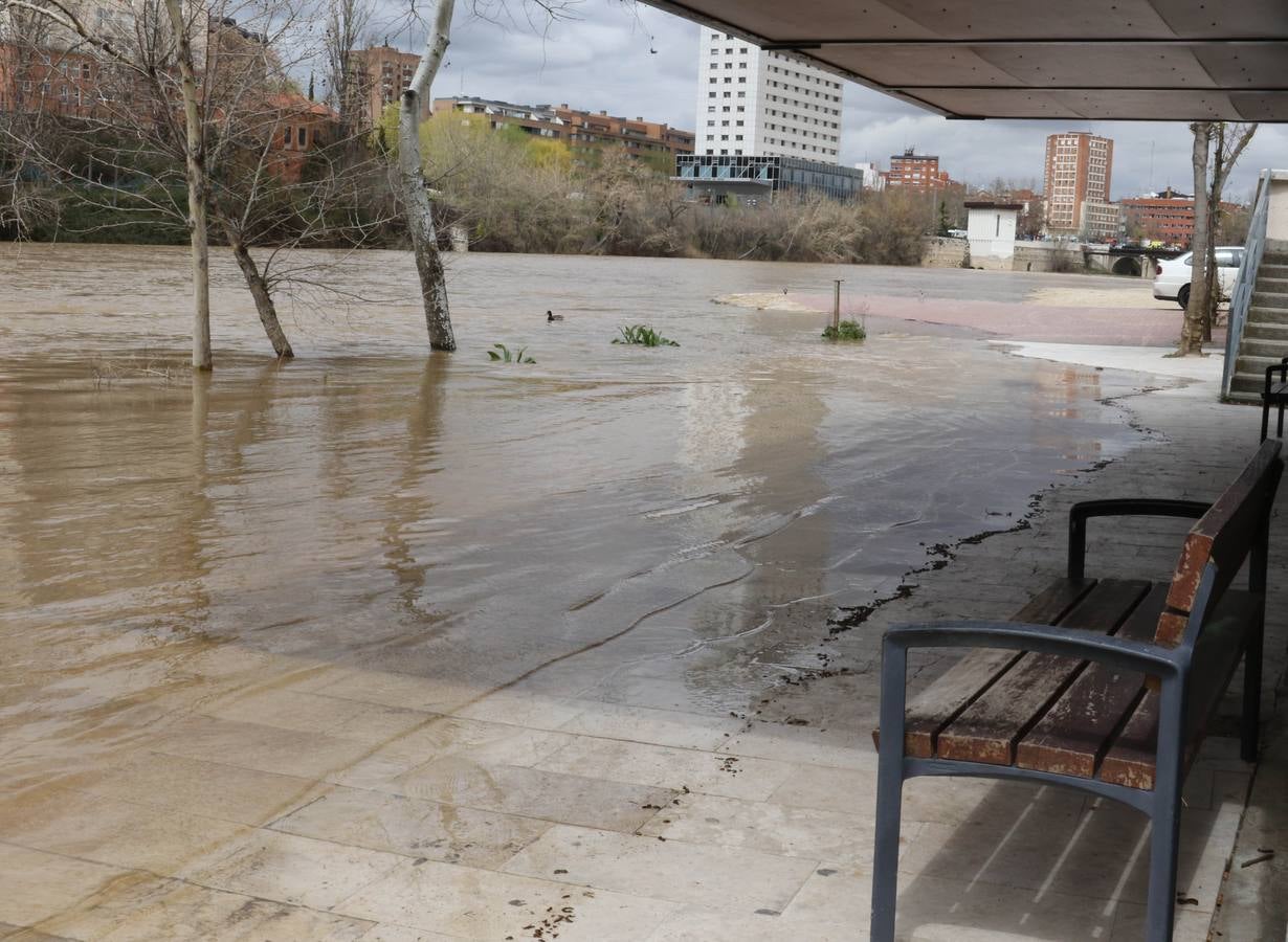 Crece el río a su paso por la capital, pero sin riesgo de desbordarse.