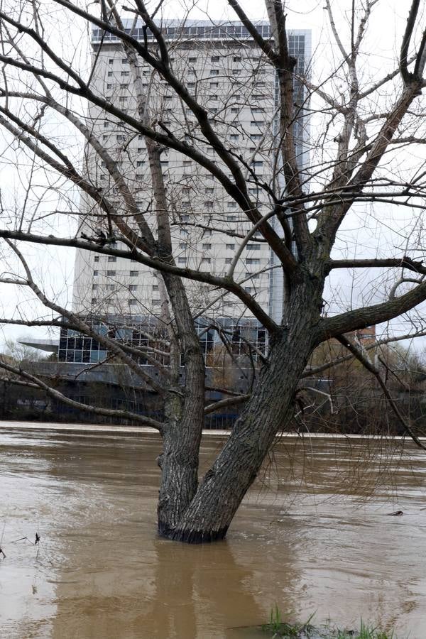 Crece el río a su paso por la capital, pero sin riesgo de desbordarse.