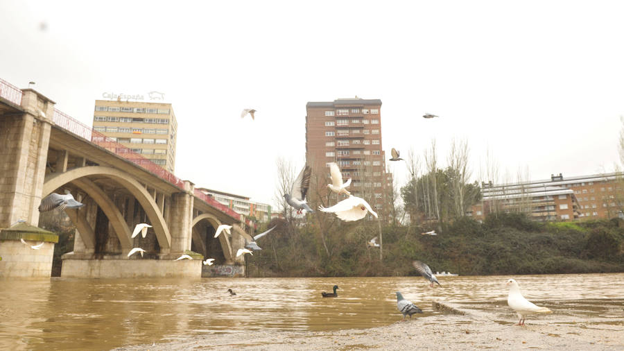 El Pisuerga en Valladolid.