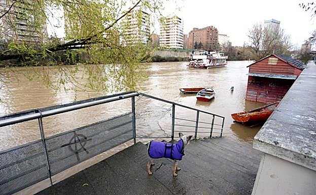 El Pisuerga a su paso por Valladolid. 