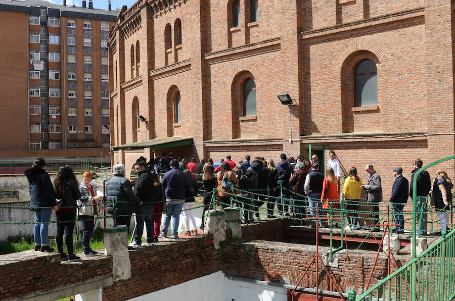 Fotos: Jornada de puertas abiertas en la Plaza de Toros de Valladolid