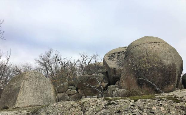 Algunos de los bolos graníticos del Berrocal. 