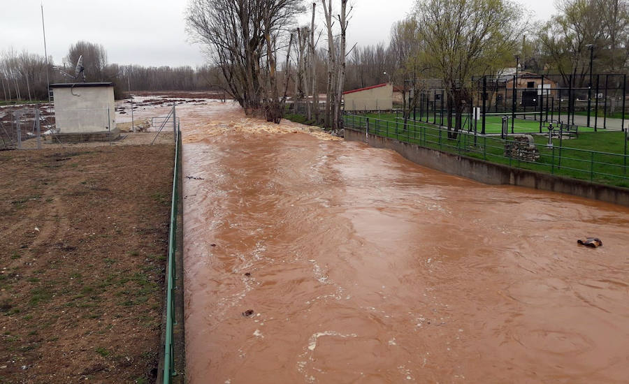 Fotos: Desbordamiento de los ríos Eresma, Duratón y Riaza en la provincia de Segovia