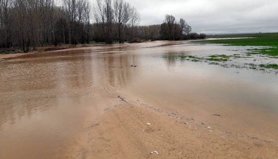 Fotos: Desbordamiento de los ríos Eresma, Duratón y Riaza en la provincia de Segovia