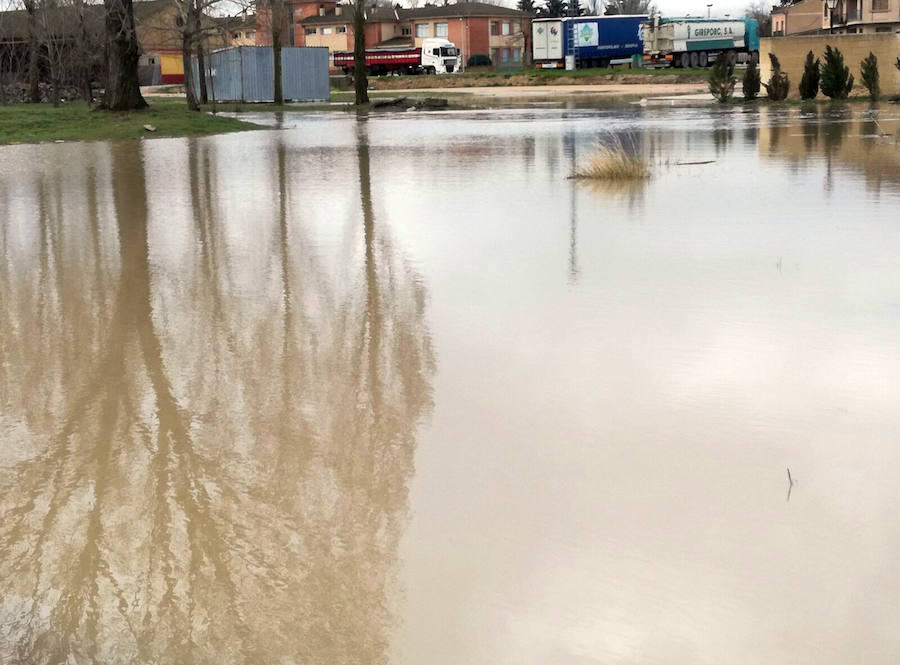 Fotos: Desbordamiento de los ríos Eresma, Duratón y Riaza en la provincia de Segovia