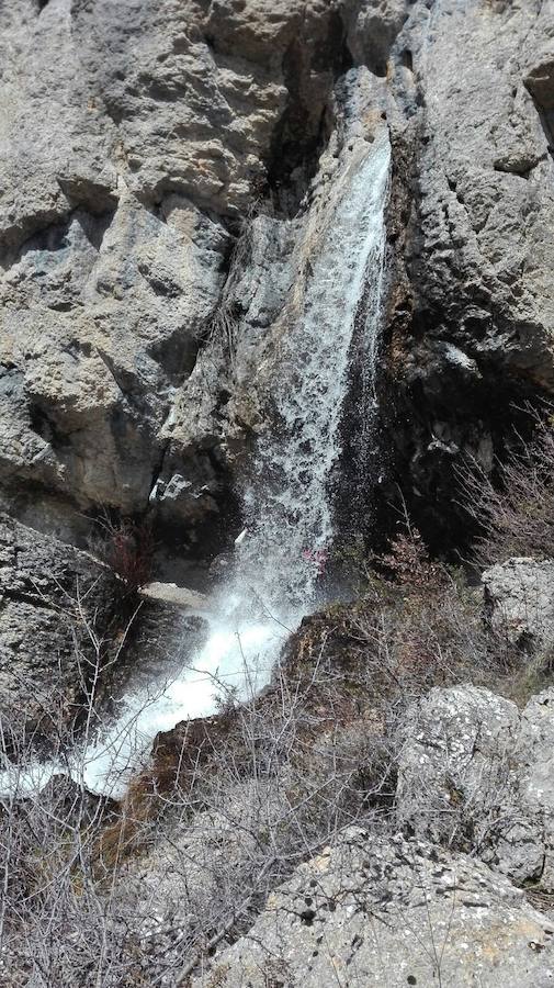 Fotos: Las imágenes que deja el deshielo en Palencia