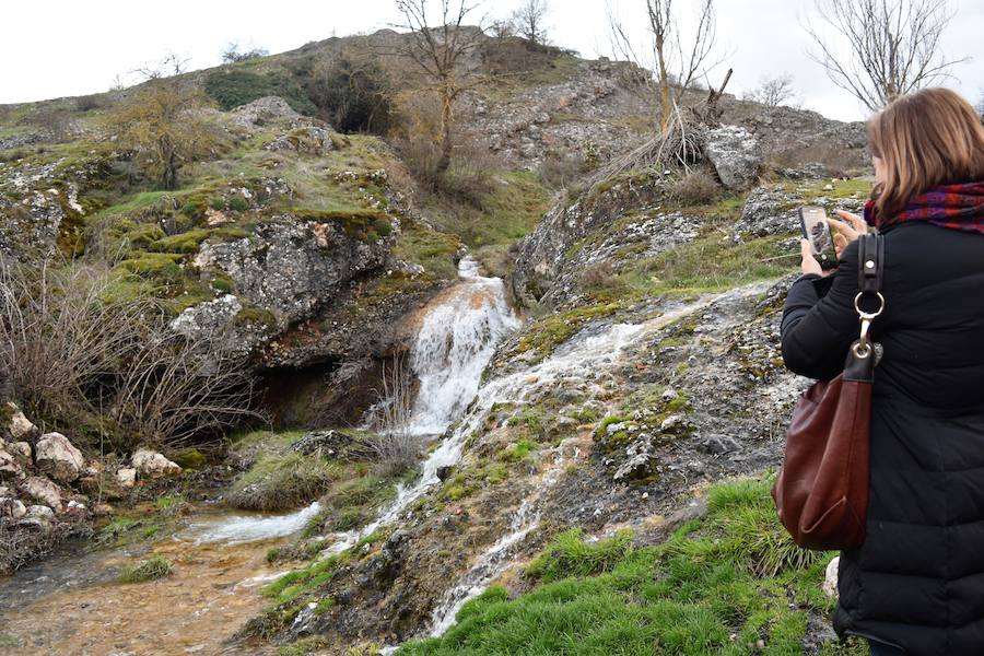 Fotos: Las imágenes que deja el deshielo en Palencia
