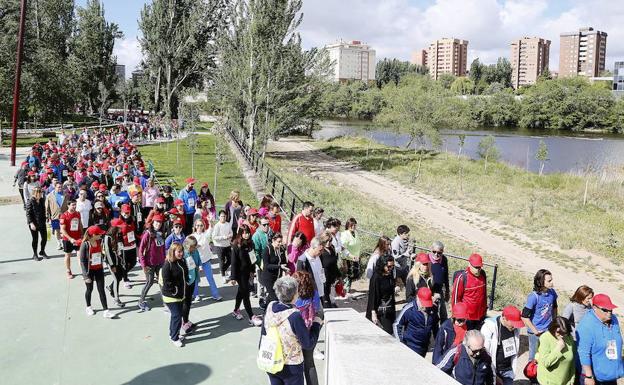 Marcha Asprona 2017