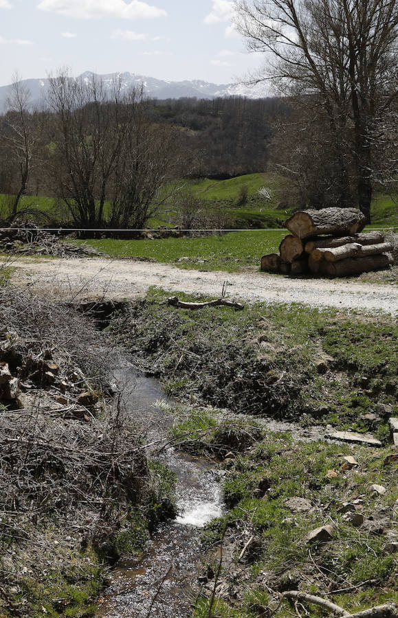 Fotos: Polentinos registra un terremoto de escasa intensidad