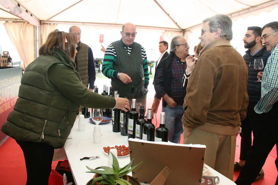 Fotos: Inauguración de la Feria Comarcal de Cuéllar