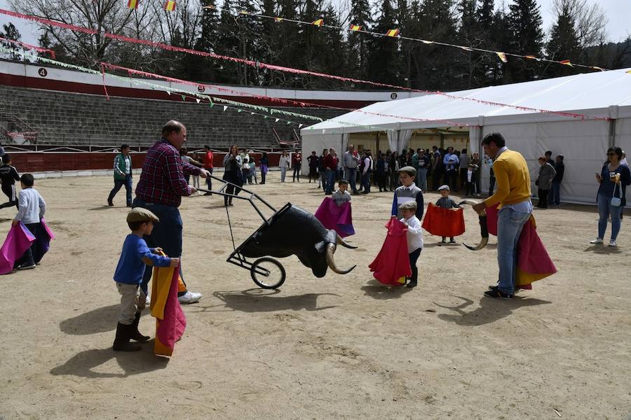 Fotos: Feria de Abril en El Espinar